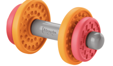 Product photo of recalled toy dumbbell representing the Fisher-Price recall
